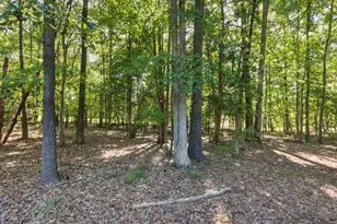 4100 Timberbrook Dr, Raleigh, NC 27616 - Photo 34