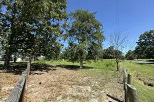 1894 Glovers Church Rd, Bennett, NC 27208 - Photo 16
