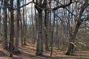 632 Whitt Town Rd, Roxboro, NC 27574 - Photo 56