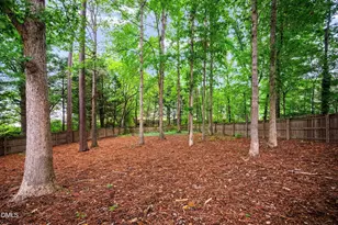 1906 Dunwick Ct, Apex, NC 27523 - Photo 20