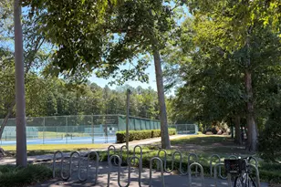 5303 Fortunes Ridge Dr, Durham, NC 27713 - Photo 54
