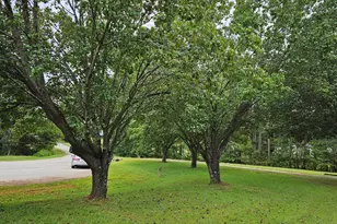 115 Eagle Ln, Middlesex, NC 27557 - Photo 4