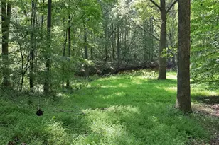 Lot 2 Boogaboo Trail, Rougemont, NC 27572 - Photo 20