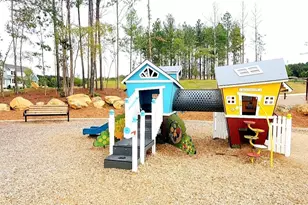451 Vine Pkwy, Pittsboro, NC 27312 - Photo 14