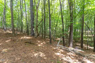 3162 Twig Ct, Wake Forest, NC 27587 - Photo 20