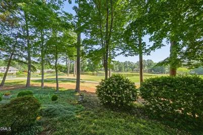 50013 Brogden, Chapel Hill, NC 27517 - Photo 54