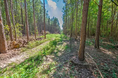 0 Buckhorn Road, Sanford, NC 27330 - Photo 30