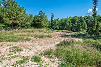 0 Buckhorn Road, Sanford, NC 27330 - Photo 18
