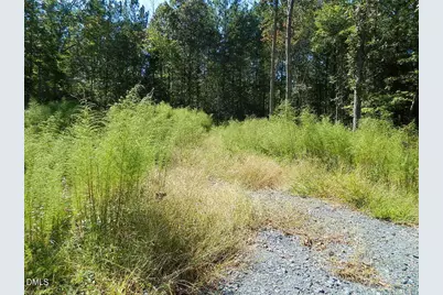 3036 Bennett Siler City Road, Bennett, NC 27208 - Photo 2