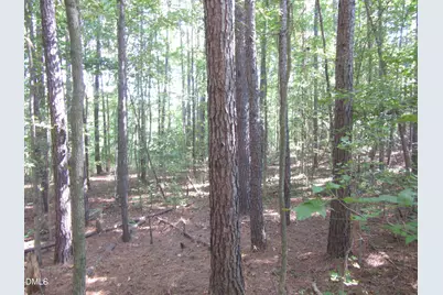0 Family Manor Lane, Wendell, NC 27591 - Photo 4