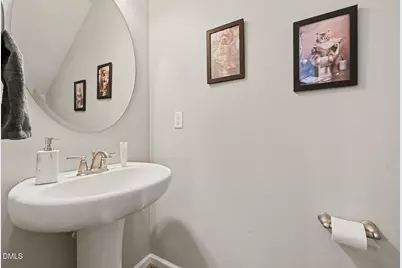 1025 Laceflower Drive, Durham, NC 27713 - Photo 24