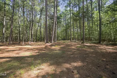 Lot 46 Pool Rock Plantation Lane, Henderson, NC 27537 - Photo 4