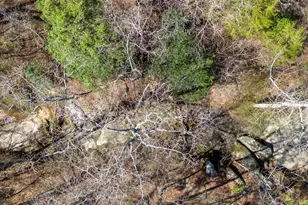 217 Tumbling River Dr, Wendell, NC 27591 - Photo 64