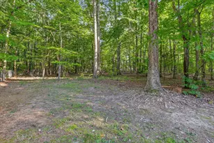 4628 Harmony Ln, Efland, NC 27243 - Photo 70
