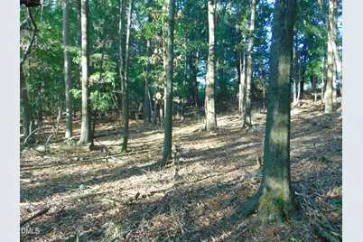 0 County Home Road Lot 3, Blanch, NC 27212 - Photo 10