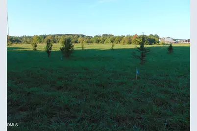 0 Files Lot 7 Road, Blanch, NC 27212 - Photo 8