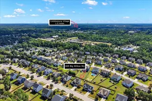 469 Big Willow Way, Rolesville, NC 27571 - Photo 44