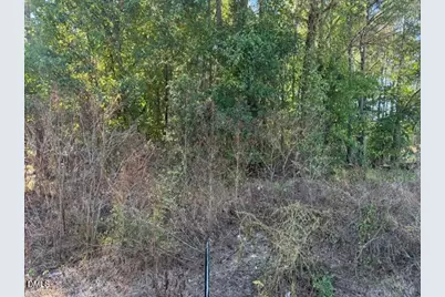 644 Caulton Brown Road, Lillington, NC 27546 - Photo 1