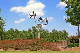 2904 Long Meadow Ln, Durham, NC 27703 - Photo 48