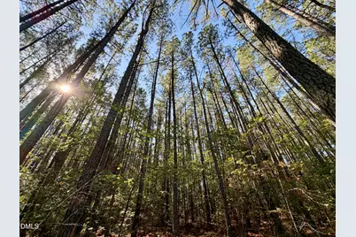 Lot 1 Shady Oak Road, Roxboro, NC 27574 - Photo 8