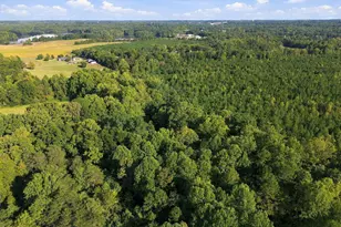2685 Bason Rd, Mebane, NC 27302 - Photo 44