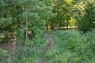 139 Bridge St, Hillsborough, NC 27278 - Photo 68