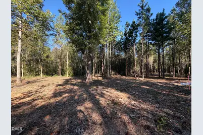 5.71 Acres Snipes Road, Hurdle Mills, NC 27541 - Photo 8