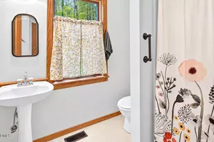 250 Hamamelis Ln, Pittsboro, NC 27312 - Photo 30