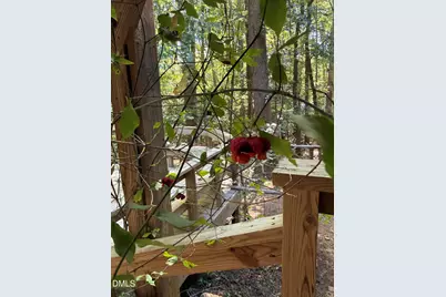 250 Hamamelis Lane, Pittsboro, NC 27312 - Photo 50