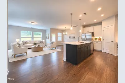 238 Deardom Way, Chapel Hill, NC 27516 - Photo 4