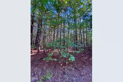 0 Pool Rock Plantation Lane, Henderson, NC 27537 - Photo 10