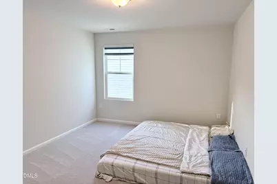 3717 Mason Bluff Drive, Raleigh, NC 27616 - Photo 18