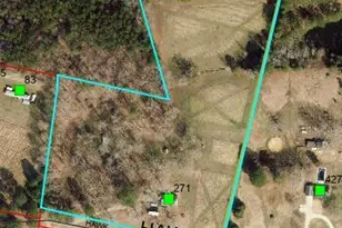 271 Hawk Rd, Sanford, NC 27330 - Photo 32