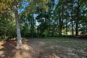 437 Tingen Mine Rd, Roxboro, NC 27574 - Photo 40