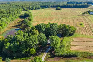 437 Tingen Mine Rd, Roxboro, NC 27574 - Photo 52