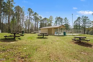 244 Sequoia Dr, Louisburg, NC 27549 - Photo 46