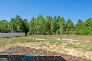 84 Hummingbird Grv Ln, Princeton, NC 27569 - Photo 30