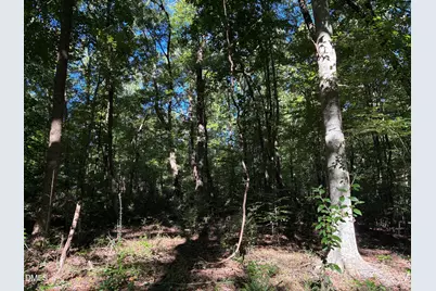 910 Nc-902 and 902 Hwy, Pittsboro, NC 27312 - Photo 4