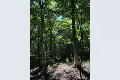 910 Nc-902 and 902 Hwy, Pittsboro, NC 27312 - Photo 10
