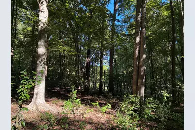 910 Nc-902 and 902 Hwy, Pittsboro, NC 27312 - Photo 8