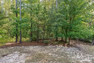 433 Belle Gate Pl, Cary, NC 27519 - Photo 46