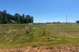 3325 Green Downs Trl, Spring Hope, NC 27882 - Photo 1