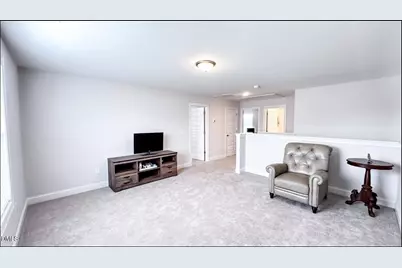 123 Surles Landing Way, Benson, NC 27504 - Photo 36