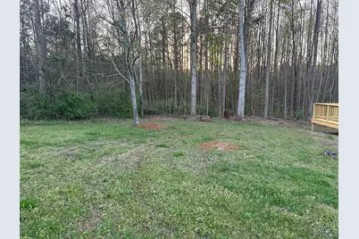 305 Leonard Meadow Road, Ramseur, NC 27316 - Photo 4