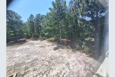 19 Ribbon Oak Court, Sanford, NC 27332 - Photo 26