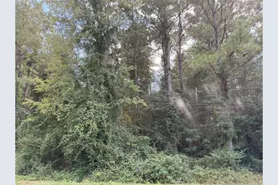 Lot 2 E Williams Street, Autryville, NC 28318 - Photo 1