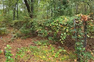 6438 and 6440 Raeford Rd, Fayetteville, NC 28304 - Photo 2