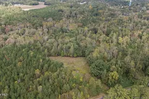 1435 Pineywood Church Rd, Cameron, NC 28326 - Photo 6