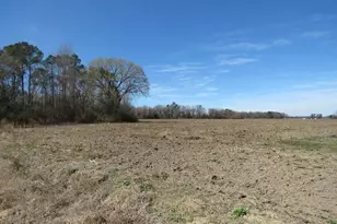 Tbd Kehukee Dr, Parkton, NC 28371 - Photo 16