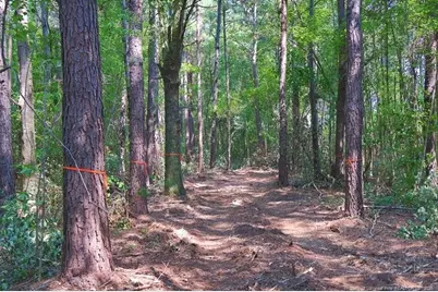 Tbd Kehukee Drive, Parkton, NC 28371 - Photo 2